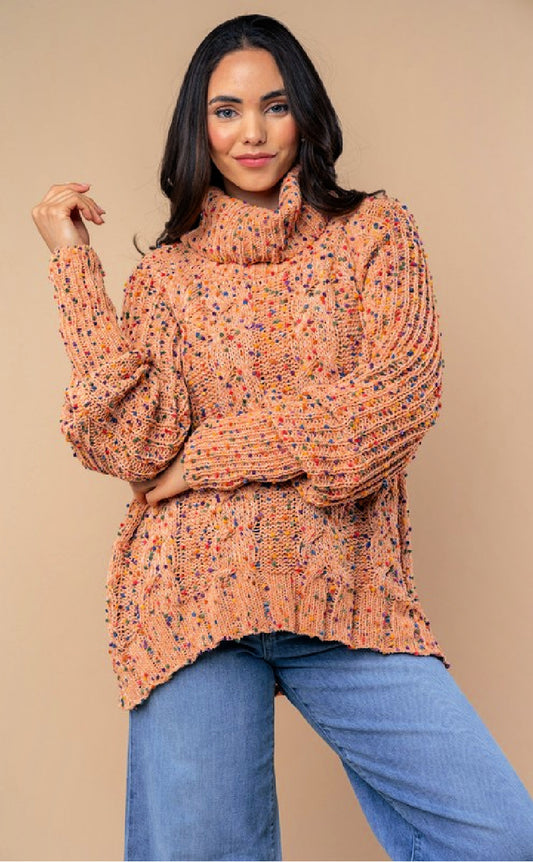 Cowl Neck Multi Print Knit Sweater